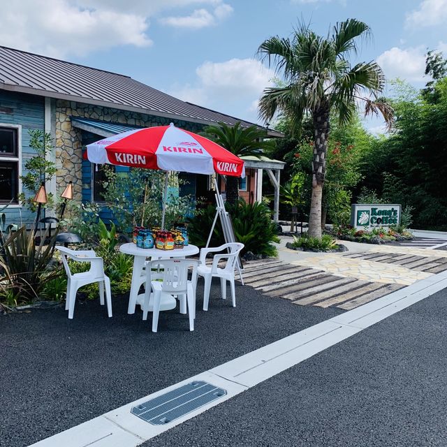 人気パンケーキ🥞『🌺コナズ珈琲小平🌴』IN東京🇯🇵