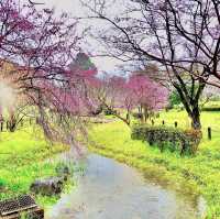 平和公園
