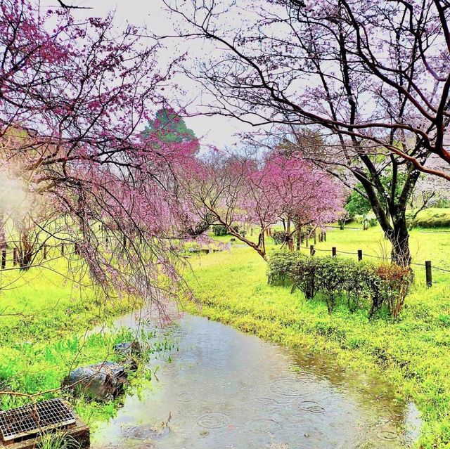 平和公園