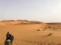 摩洛哥🇲🇦世界最大之撒哈拉沙漠🏜️(日)