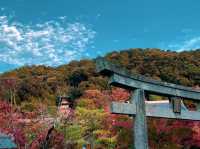 เที่ยวใบไม้เปลี่ยนสี เกียวโต วัดเอกันโดเซ็นริน 🍁⛩️