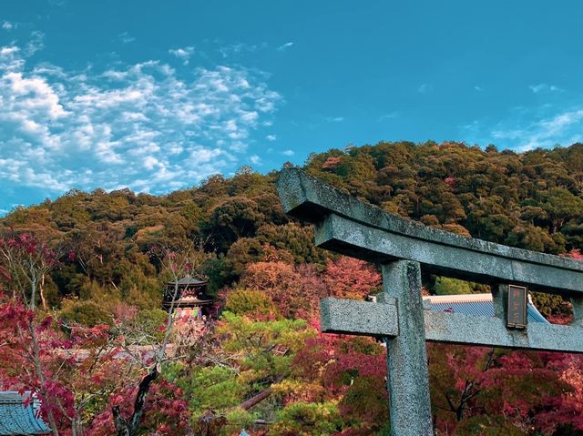 เที่ยวใบไม้เปลี่ยนสี เกียวโต วัดเอกันโดเซ็นริน 🍁⛩️