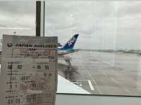 福岡空港→高知(龍馬)空港へ。JAL『エンブラエル』で高知へ飛ぶ。