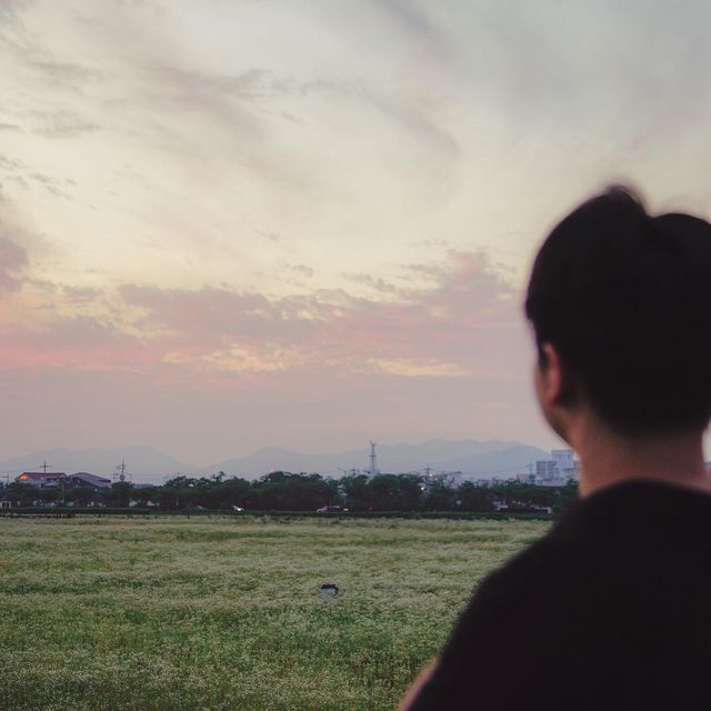 경주 노을명소 분황사