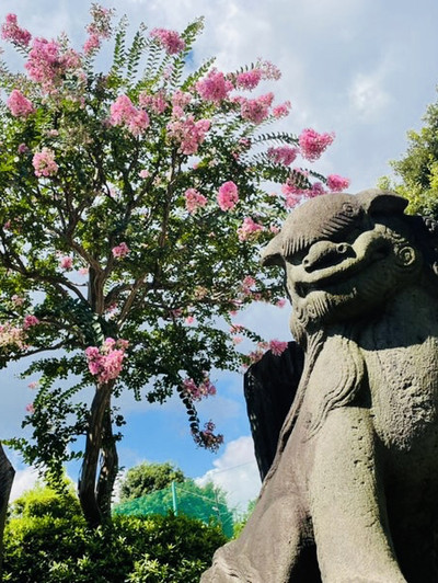 赤羽八幡神社 桜神宮 東京都/赤羽八幡神社】境内の下を新幹線が走り抜ける神社 | Trip