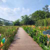 ▍療癒之旅 ▍深圳都市田園：忘卻喧囂，尋覓愜意自然美景 