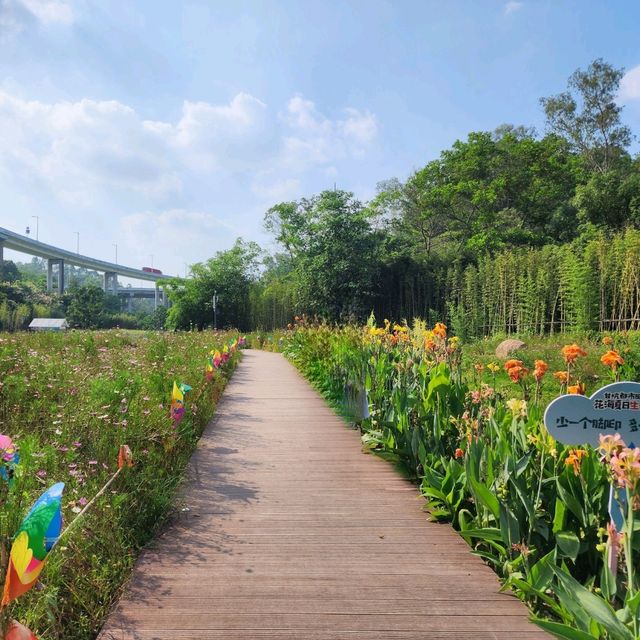 ▍療癒之旅 ▍深圳都市田園：忘卻喧囂，尋覓愜意自然美景 
