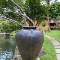 Beautiful resort in the nature, Fifty4Fern