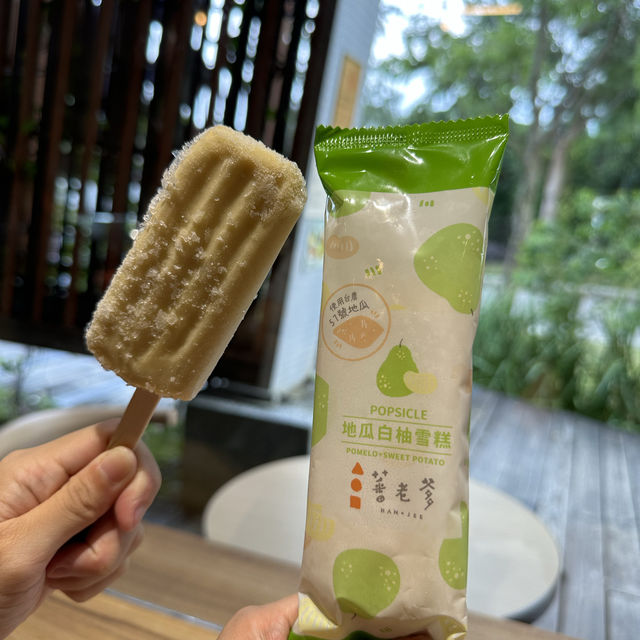 台北圓山站休閑一日遊🌿🌵適合夏日親子遊