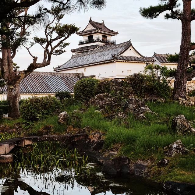 穿越時光！高知城感受歷史與浪漫！🏯🌸🌳
