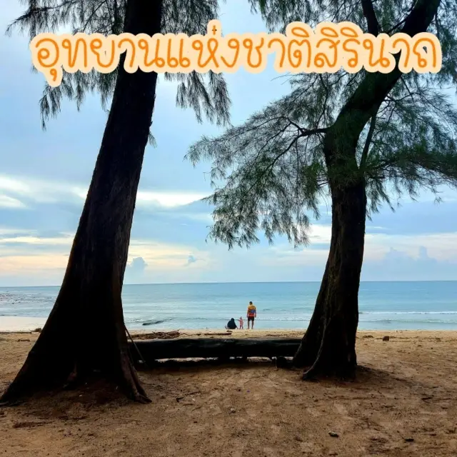 เดินเล่นริมหาด ที่อุทยานแห่งชาติสิรินาถ