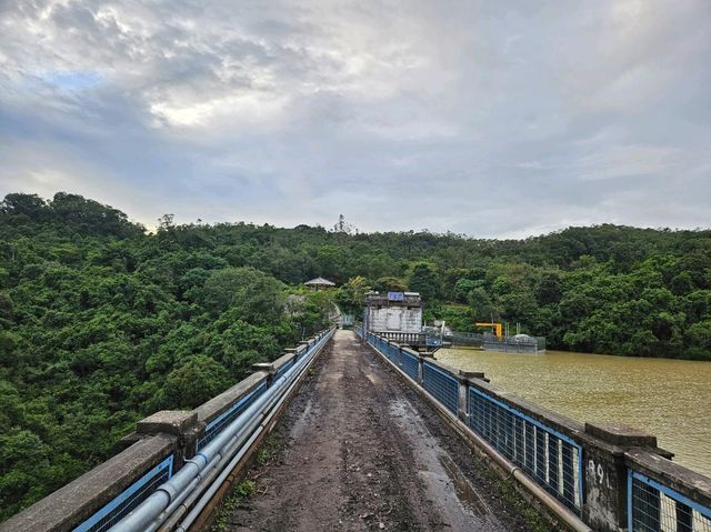 以猴子出名的金山郊野公園