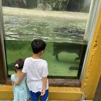 親子旅遊｜高雄｜壽山動物園· 室內遊樂場·六合夜市