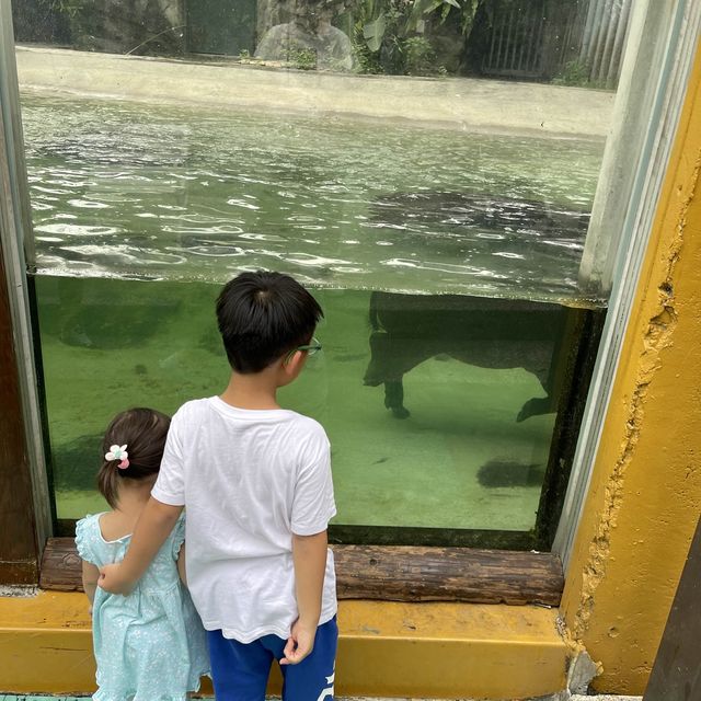 親子旅遊｜高雄｜壽山動物園· 室內遊樂場·六合夜市