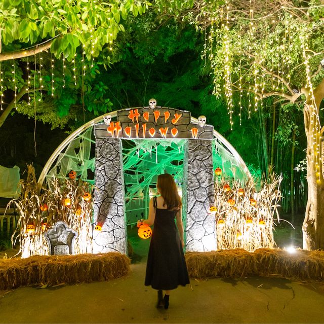 เปิดแล้ว Halloween Season at CHAN nature cafe'
