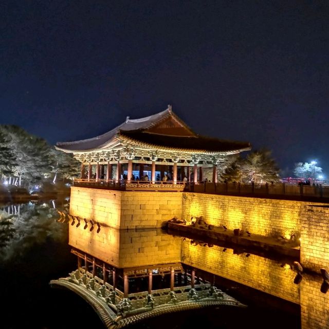 Gorgeous night in Gyeongju