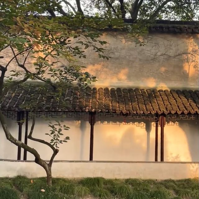 三湘庭 🌺🏯嶺南庭院的花香🌳💐