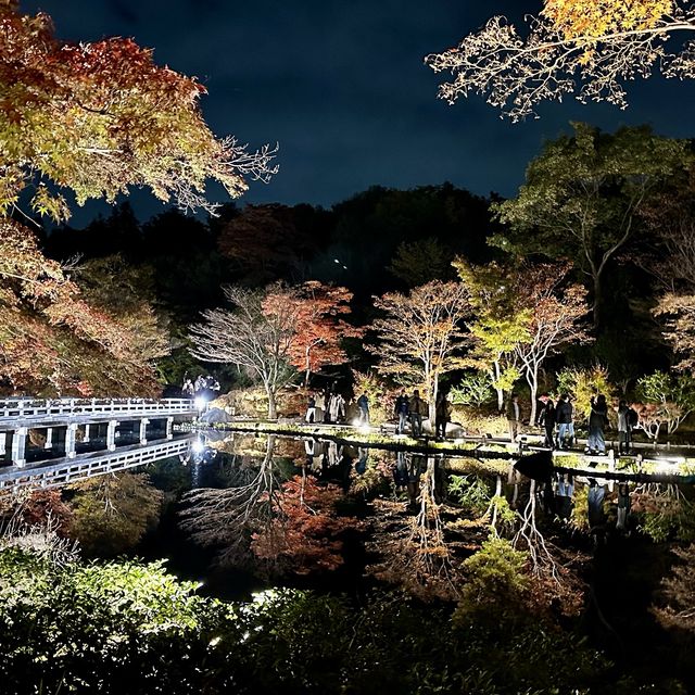 日式庭園點燈會