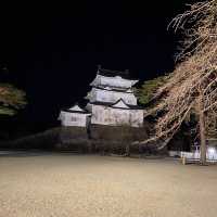 【小田原城】夜景も綺麗な歴史を感じる城郭