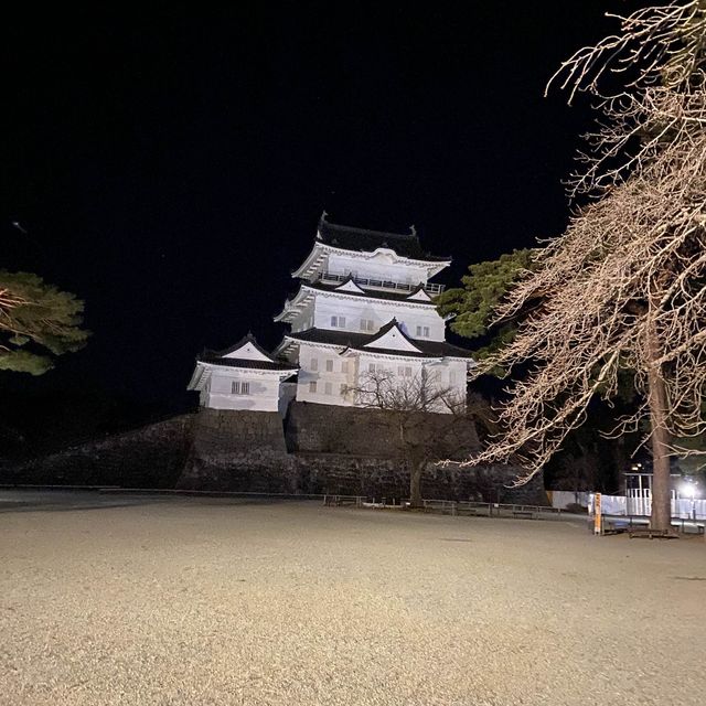 【小田原城】夜景も綺麗な歴史を感じる城郭