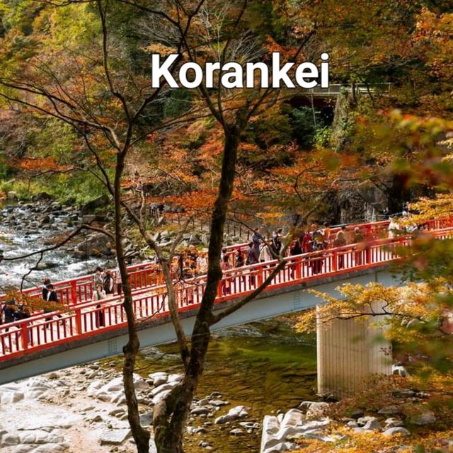  Korankei จุดชมใบไม้เปลี่ยนสีที่สวยมากในญี่ปุ่น