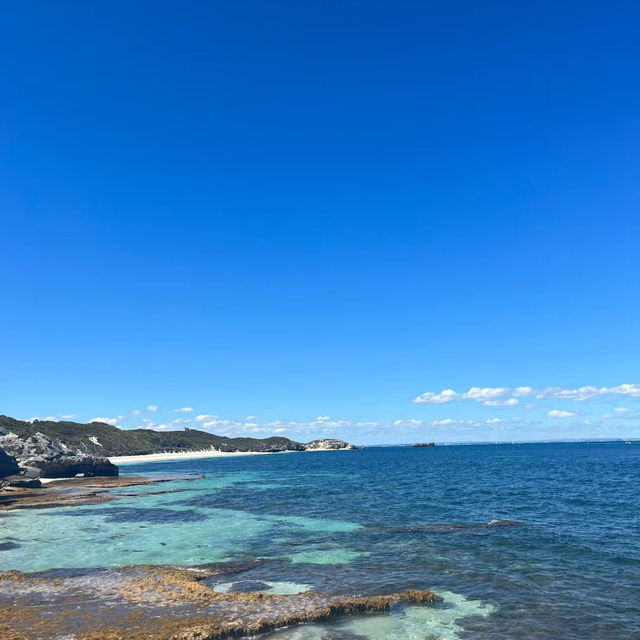 國府津海岸 🌊🏖️海灘度假的理想選擇 🌅🌴