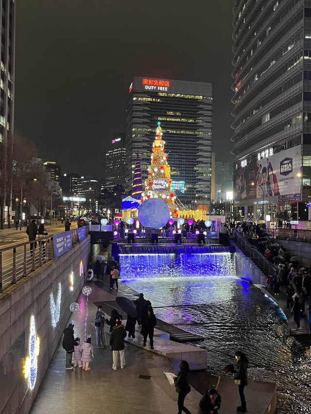 서울 대표 겨울 축제, 빛초롱축제💡