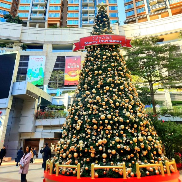 The joy of Christmas is best felt when standing in front of a beautifully decorated tree🎄