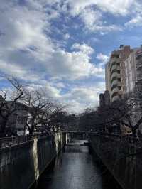 🇯🇵探索舒適悠閒中目黑區👀店舖室內設計有驚喜😮