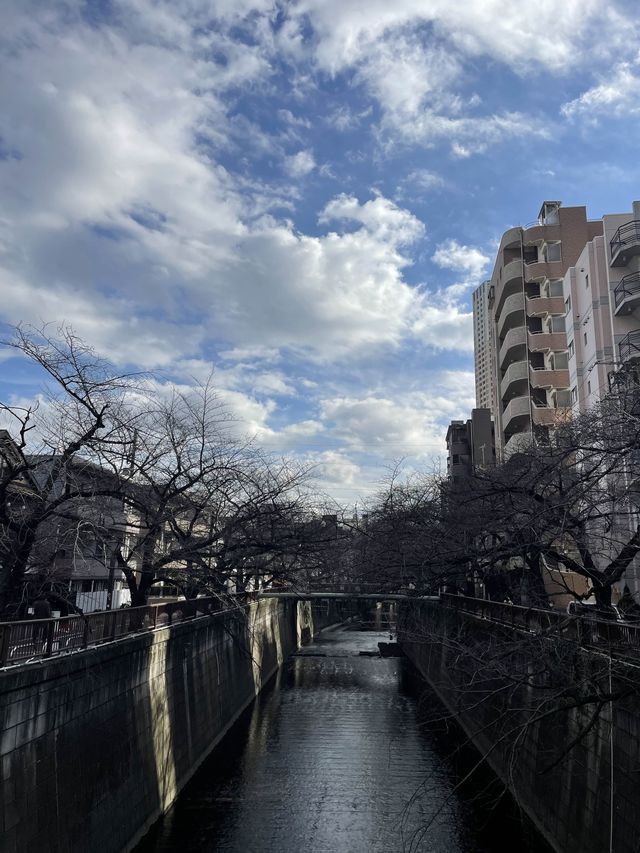 🇯🇵探索舒適悠閒中目黑區👀店舖室內設計有驚喜😮
