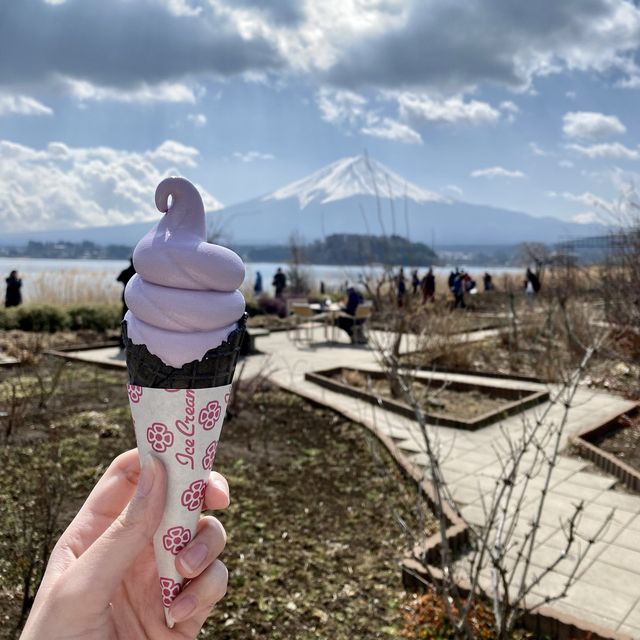 【日本】河口湖 大石公園｜據說看到富士山🗻會幸運一整年唷！