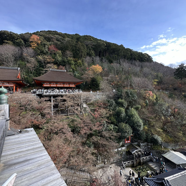 Experiencing the Serenity of Kyoto