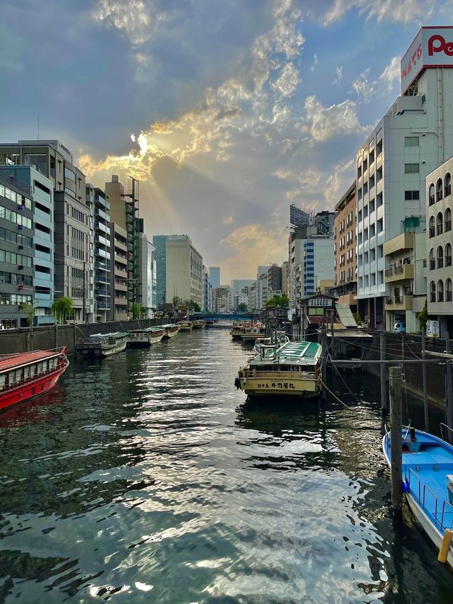 Bustling life in Tokyo 🇯🇵