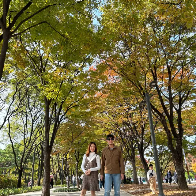 Autumn in Seoul