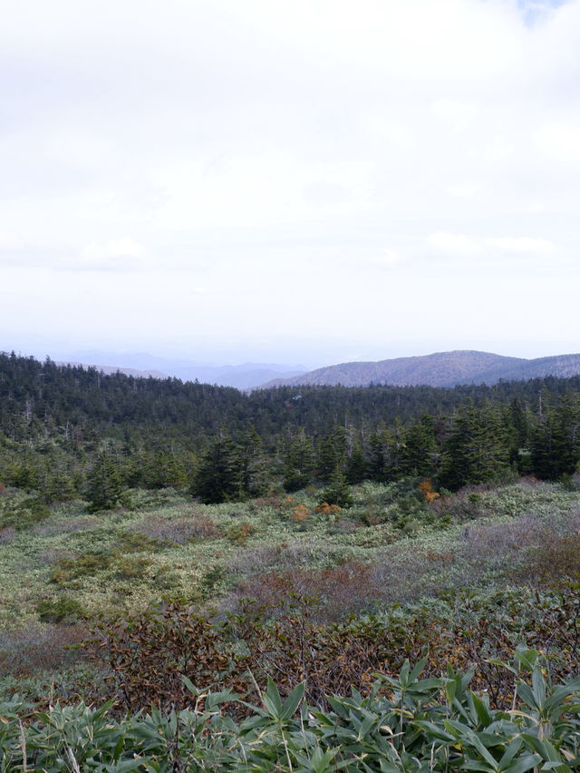 日本行山路線推薦，藏王御釜火山湖