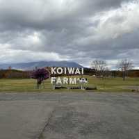 Koiwai farm; try their milk!