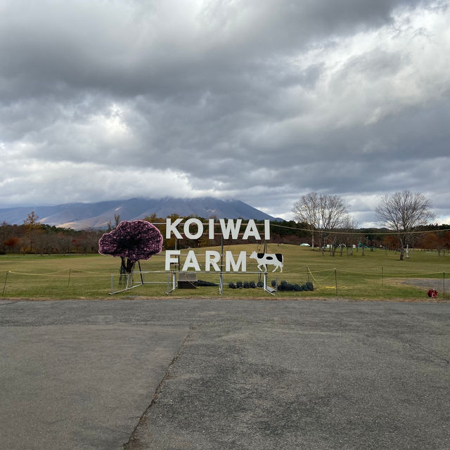 Koiwai farm; try their milk!