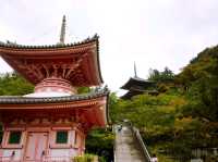 【壷阪寺】（奈良県高取町　旧国名：大和）