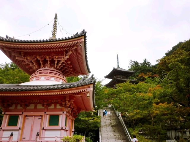 【壷阪寺】（奈良県高取町　旧国名：大和）