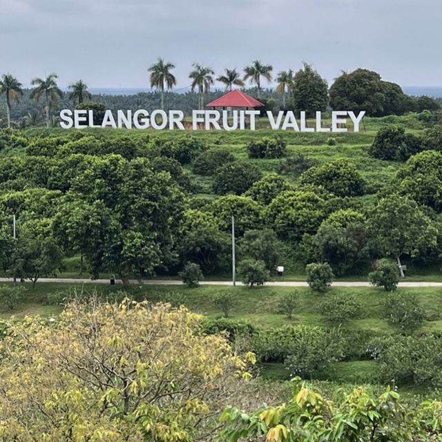 Family time at Selangor Fruit Valley