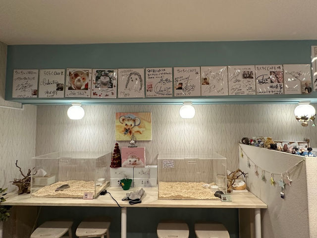 Chiku Chiku Cafe 