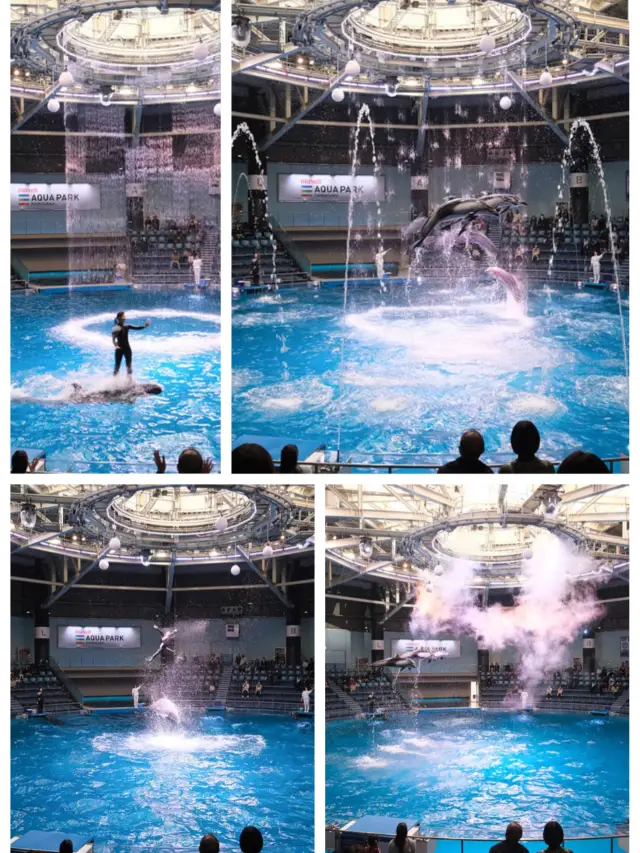 【東京品川水族館】品川王子大飯店內，適合一日遊