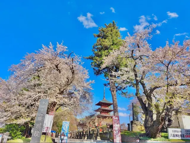 Hirosaki Park 