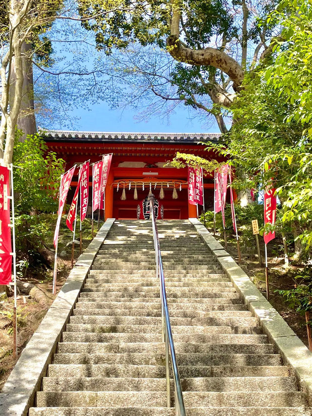 【京都】紅葉が有名だけど、実は立派な枝垂れ桜が見応えのある寺院