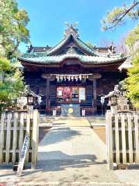 【荏原神社/東京都】寒緋桜が美しい神社