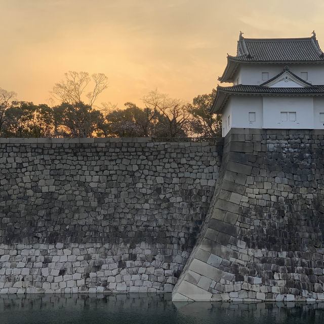 Unveiling Japan's Timeless Majesty!