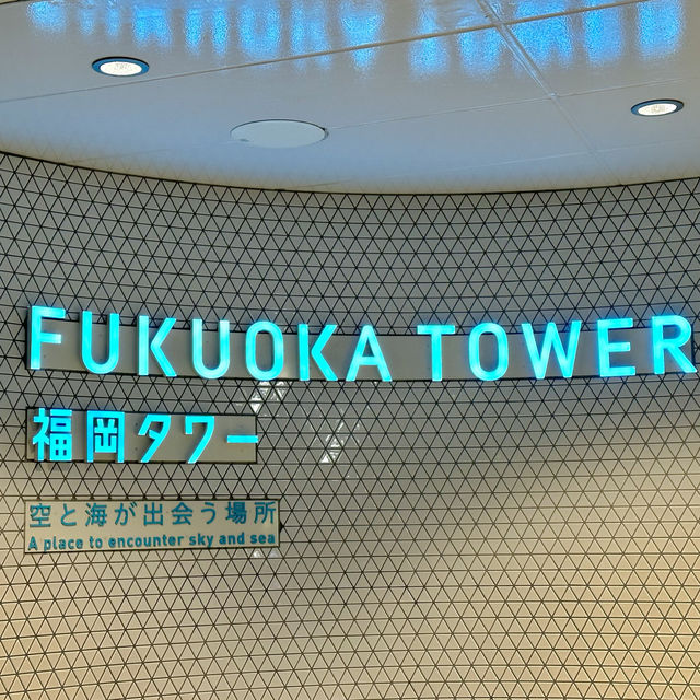 후쿠오카 야경명소 후쿠오카타워🗼