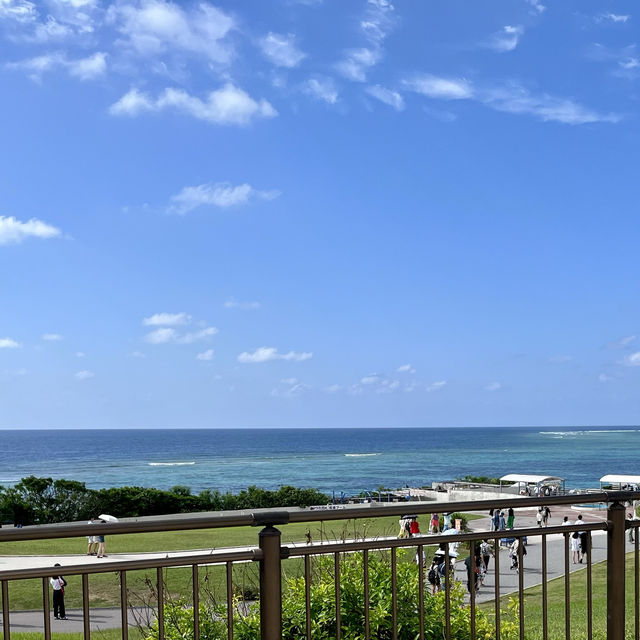 美ら海水族館周辺スポット！