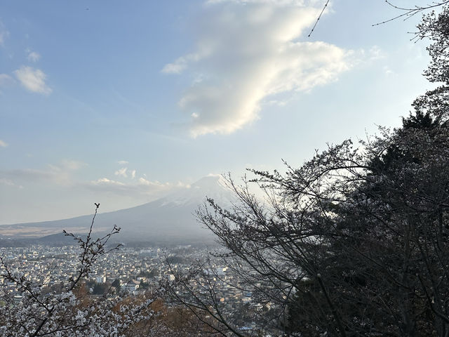 【💮新倉淺間神社💮】日本🇯🇵宣傳照的原模型：富士山🗻、櫻花🌸、五重塔🏯，一張盡收眼簾下。
