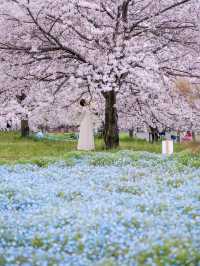 【春盛りだくさん！】舎人公園にこの春行くべき！🌸